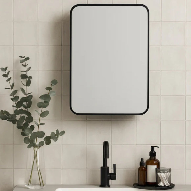 Alfred Black Storage Cabinet Rectangular Wall Mirror