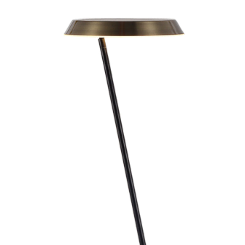 Society CCT LED Antique Brass and Black Floor Lamp