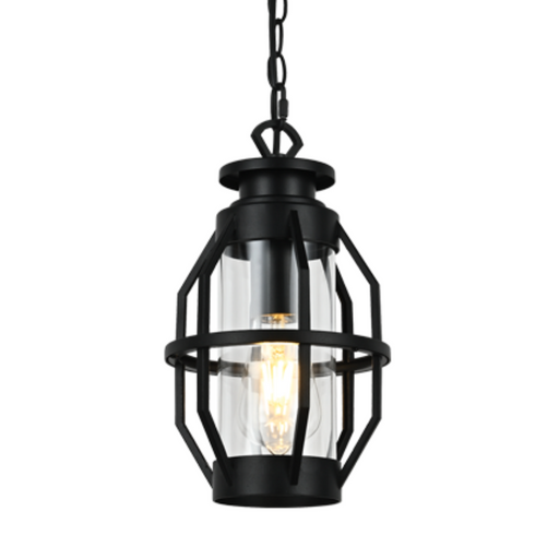 Henry Black And Clear Glass Outdoor Pendant Light - Lighting.co.za