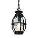 Henry Black And Clear Glass Outdoor Pendant Light - Lighting.co.za