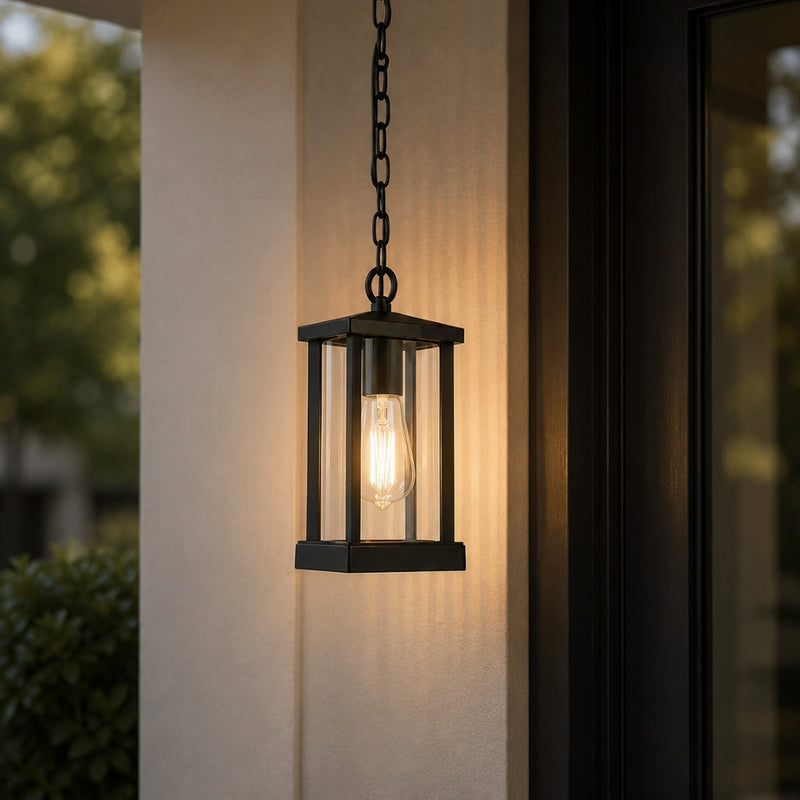 Republic Black And Clear Glass Outdoor Pendant Light