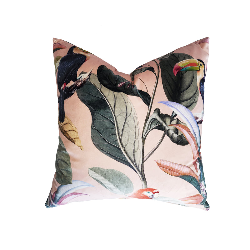 Parrot Carol Scatter Cushion - Lighting.co.za