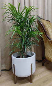 Hygge Japi Stand Planter 3 Styles - Lighting.co.za