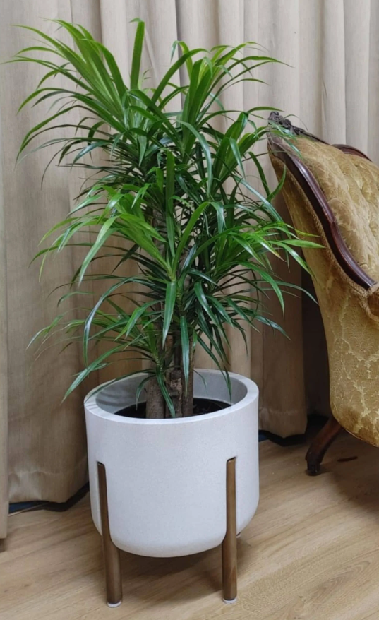 Hygge Japi Stand Planter 3 Styles - Lighting.co.za