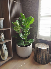 Fringe Round Japi Planter 2 Sizes - Lighting.co.za