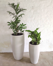 Conic Slim Traditional Tall Japi Planter 2 Sizes - Lighting.co.za