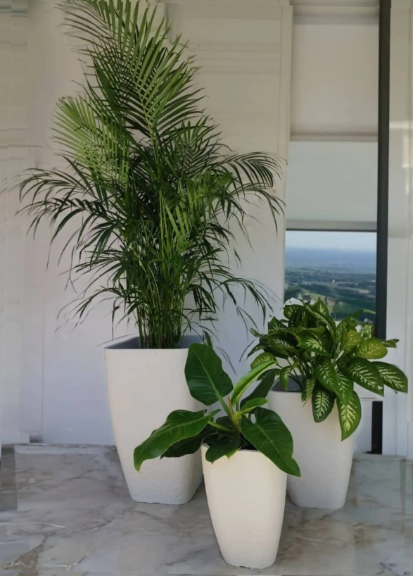 Innovare Maggiore Japi Planter 3 Sizes - Lighting.co.za