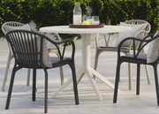 Emily Arm Dining Chair - Lighting.co.za