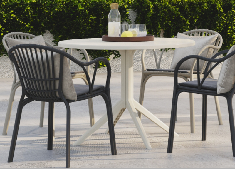 Emily Arm Dining Chair - Lighting.co.za