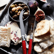 Andre Verdier Cheese Knife Single - 3 Colours - Lighting.co.za