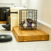 Barista & Co Corral Pod Coffee Capsule Storage - Steel ;Black & Copper - Lighting.co.za