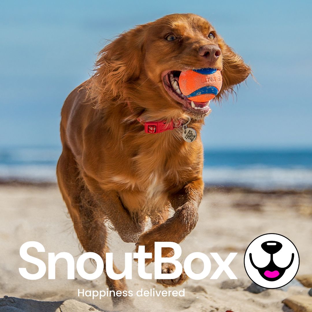 Everything for happy, healthy pets.