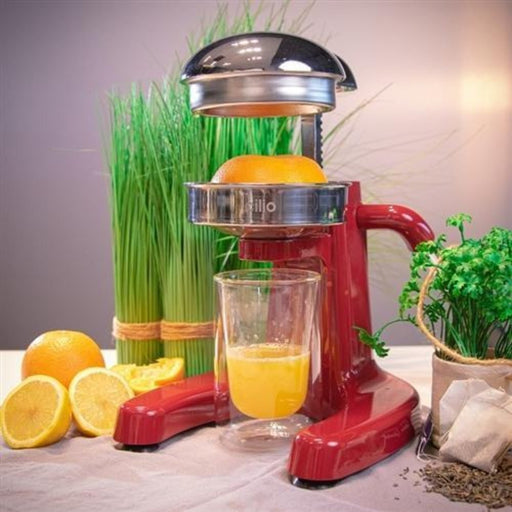 Cilio Positano Professional Juicer - 2 Colours - Lighting.co.za