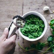 Dreamfarm Garject Garlic Press - 2 Colours - Lighting.co.za