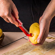 Dreamfarm Sharple Peeler - 3 Colours - Lighting.co.za