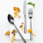 Eternum Nardo Black 16pc Cutlery Set - Lighting.co.za