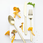 Eternum Nardo Champagne 16pc Cutlery Set - Lighting.co.za