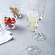 Leonardo Daily Champagne Glass 200ml, Set of 6 - Lighting.co.za