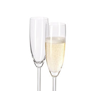 Leonardo Daily Champagne Glass 200ml, Set of 6 - Lighting.co.za