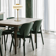 Mason Opal Glass and Brass Look Table Lamp - Lighting.co.za