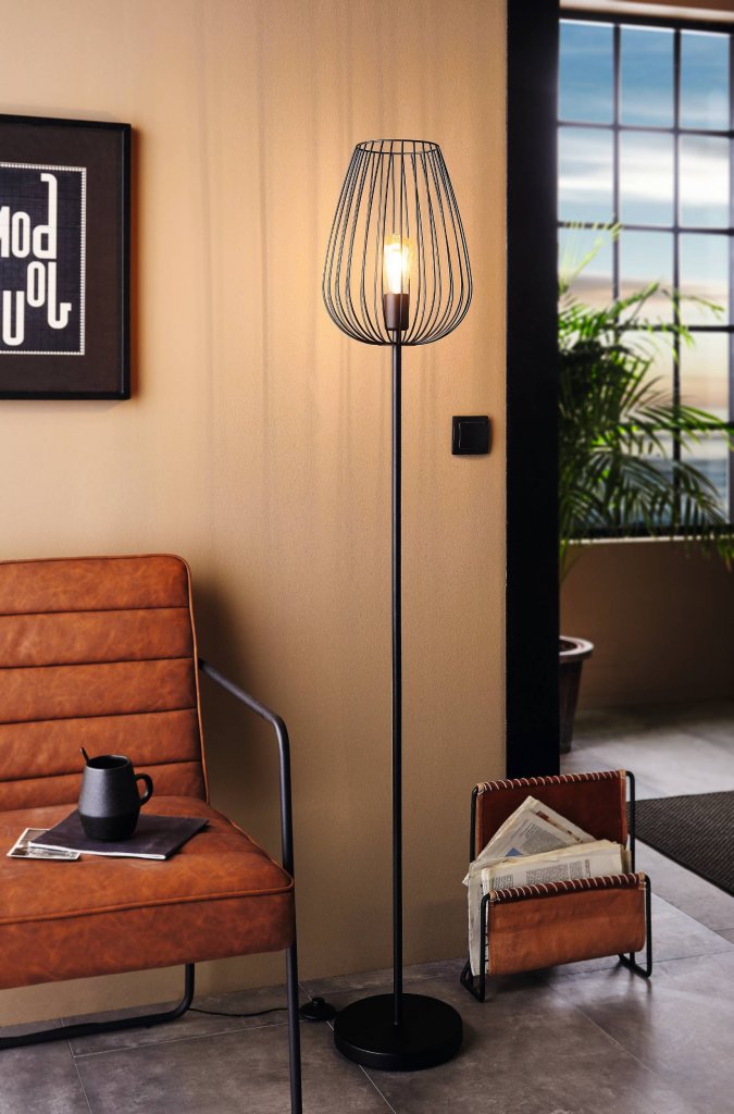 Newton Black Wire Shade Floor Lamp - Lighting.co.za