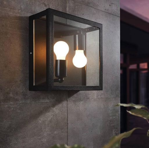 Alamonte 2 Light Outdoor Black and Clear Glass Wall or Ceiling Light - Lighting.co.za