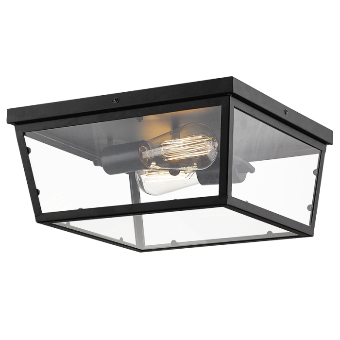 Dseta Black And Clear Glass Outdoor Ceiling Light - Lighting.co.za