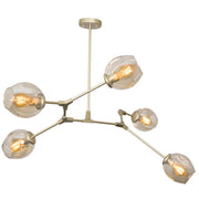 Amador Classic Branch 5 Light Smoke or Amber Glass Pendant Light - Lighting.co.za