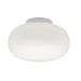 Comet White and Opal Glass Spazio Ceiling Light 2 Sizes - Lighting.co.za