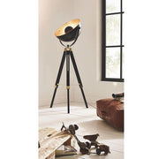Covaleda Black and Gold Dome Floor Lamp - Lighting.co.za