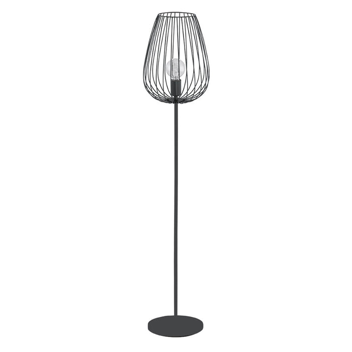 Newton Black Wire Shade Floor Lamp - Lighting.co.za