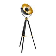 Covaleda Black and Gold Dome Floor Lamp - Lighting.co.za