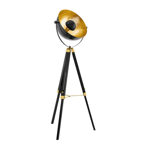 Covaleda Black and Gold Dome Floor Lamp - Lighting.co.za