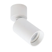 Flip All Over Black | Gold |White Adjustable Ceiling Spazio Surface Spot Light - Lighting.co.za