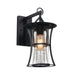 Monza Outdoor Black and Clear Glass Wall Light - Lighting.co.za
