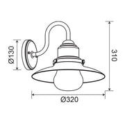 Lea Vintage Barn Black Glass Outdoor Wall Light - Lighting.co.za