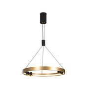 Monaco Gold Hoop LED Pendant Light - Lighting.co.za