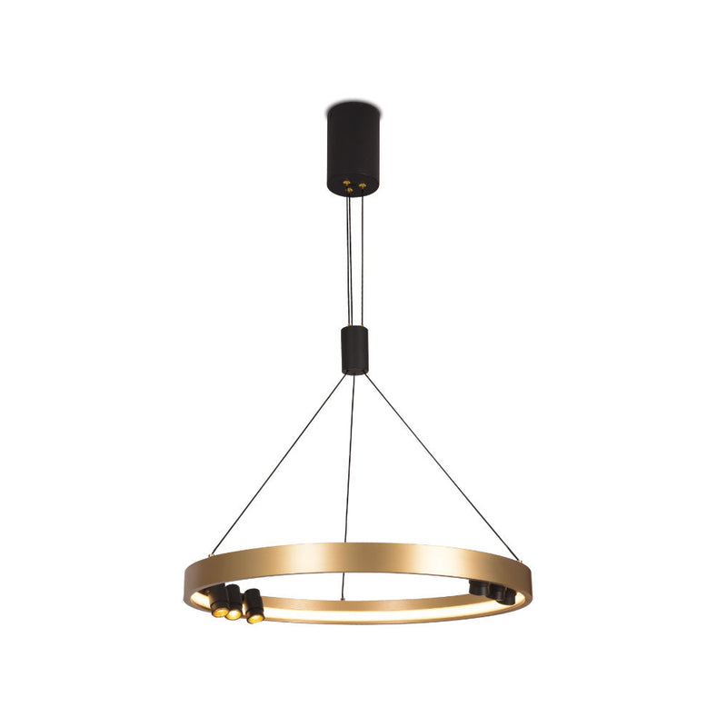 Monaco Gold Hoop LED Pendant Light - Lighting.co.za