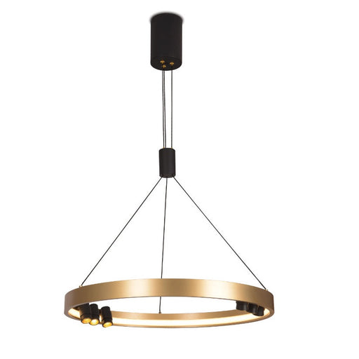 Monaco Gold Hoop LED Pendant Light - Lighting.co.za