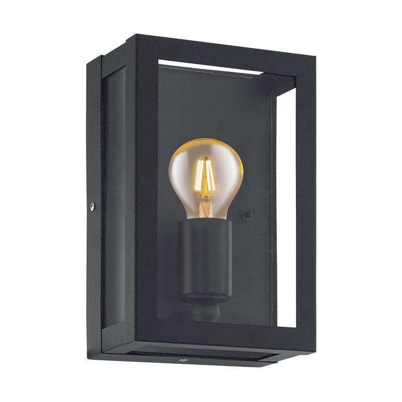 Alamonte Outdoor Black and Clear Glass Wall Light - Lighting.co.za