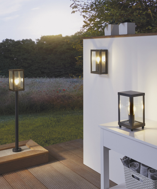 Alamonte Outdoor Black and Clear Glass Wall Light - Lighting.co.za