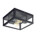 Alamonte 2 Light Outdoor Black and Clear Glass Ceiling Light - Lighting.co.za