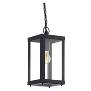 Alamonte Outdoor Black and Clear Glass Pendant Light - Lighting.co.za