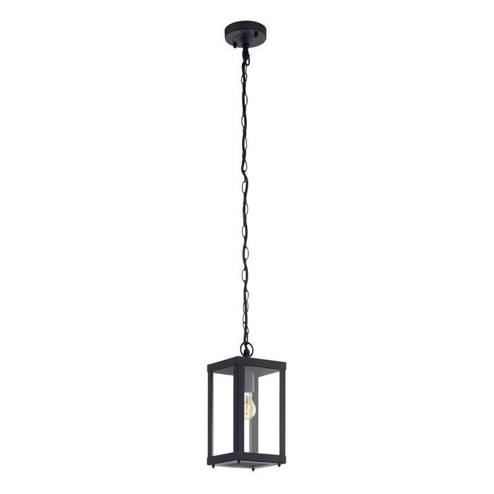 Alamonte Outdoor Black and Clear Glass Pendant Light - Lighting.co.za