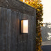 Adalyn Dark Grey LED Outdoor Wall Light - Lighting.co.za