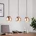 Rocomar 1 or 3 Light Copper And Clear Glass Pendant Light - Lighting.co.za