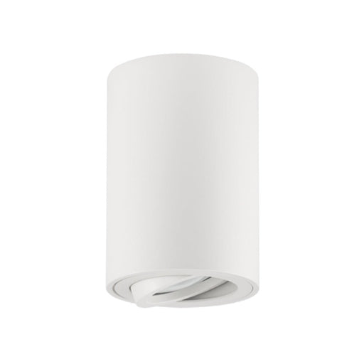 Zana Round Barrel Black | White | Silver Round GU10 Surface Mounted Down Light - Technical Lights - Lighting.co.za