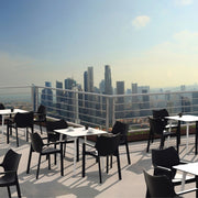 Diva Dining Chair - Lighting.co.za