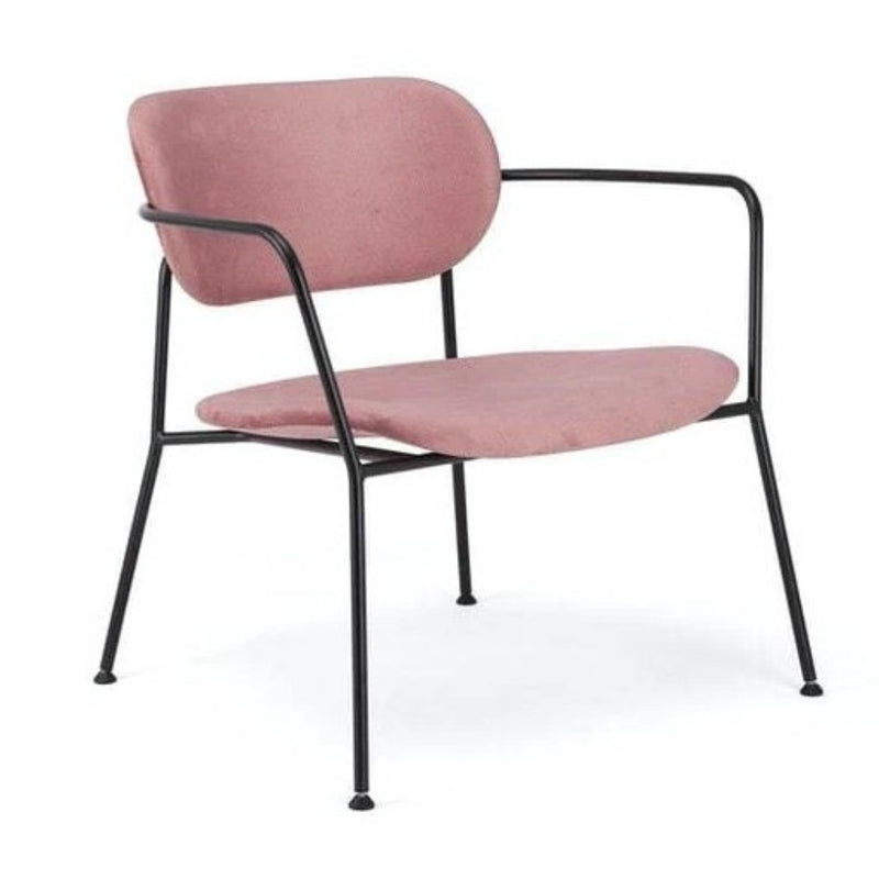 Pedigree Monolith Occasional Chair - Lighting.co.za
