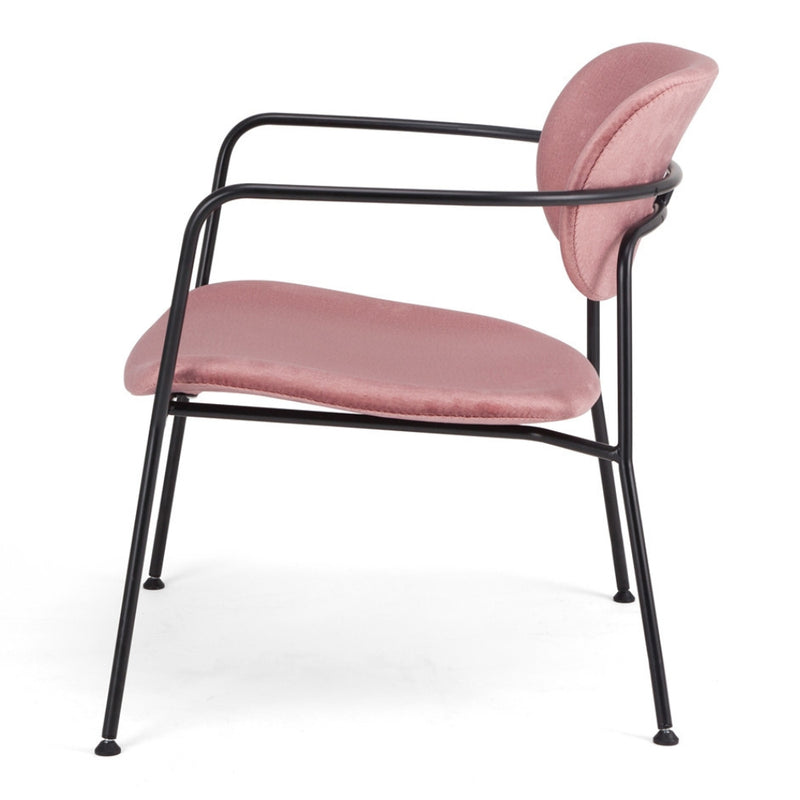 Pedigree Monolith Occasional Chair - Lighting.co.za